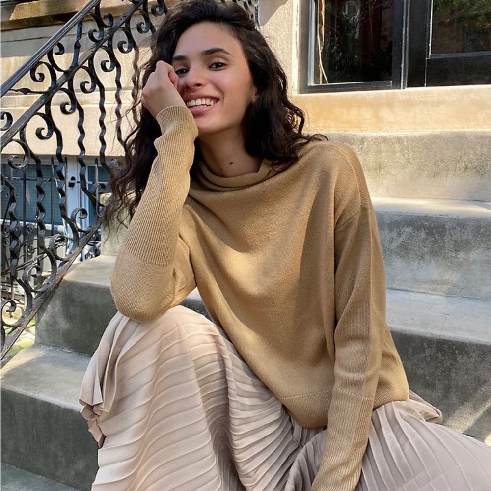 Aritzia Cyprie Sweater